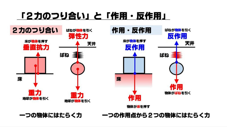 の投稿画像18枚目