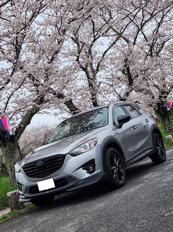 CX-5のさたけさんが投稿したカスタム事例の投稿画像1枚目