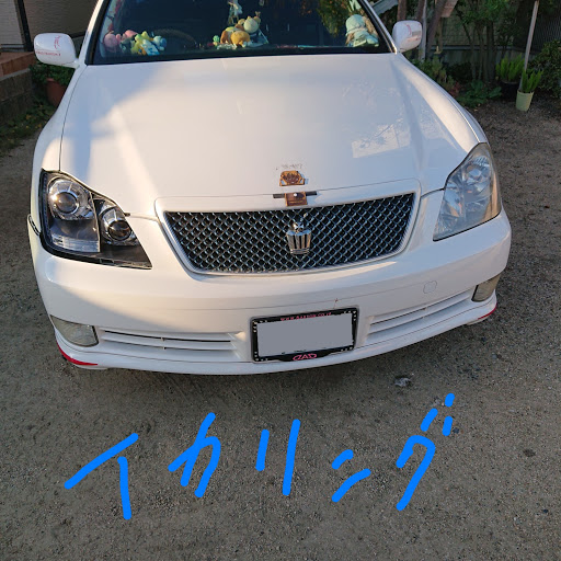 BLACK   ピットのプロフィール画像