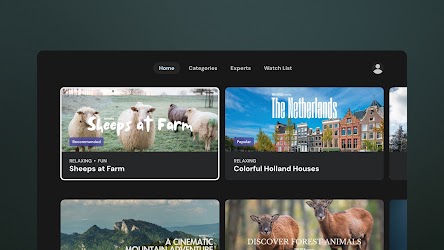 Menta TV user experience view screenshot