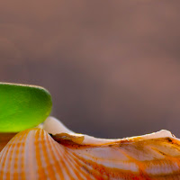 in equilibrio sopra la follia di 