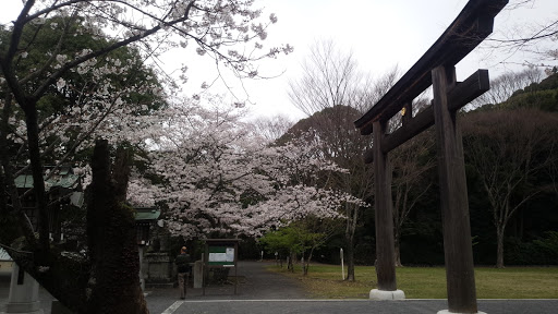 社殿前鳥居