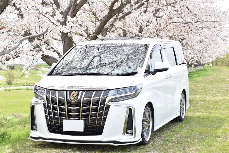アルファードのサクラと愛車・桜コラボ・ドライブ・AGH30W・アルヴェル好きと繋がりたいに関するカスタム事例の投稿画像1枚目