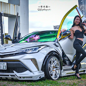 C-HR ZYX11