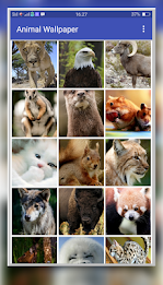 Animal Wallpaper by VamosApps poster 7