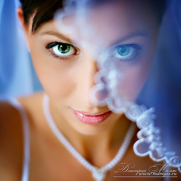 Wedding photographer Dmitriy Demidov (demidoff). Photo of 3 January 2013