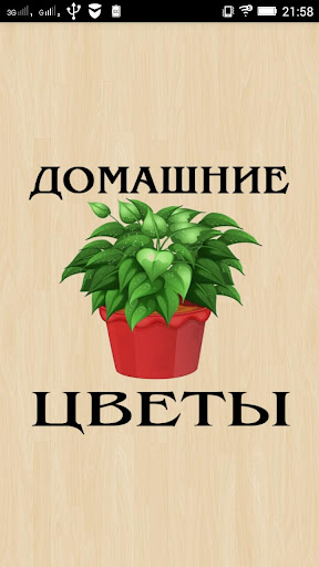 Домашние Цветы