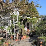 田尾綠海咖啡館 - 景觀餐廳