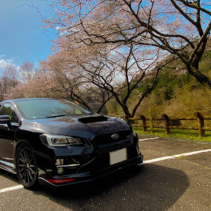 WRX STI VAB