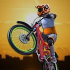 MTB Extreme Downhill Stunts 