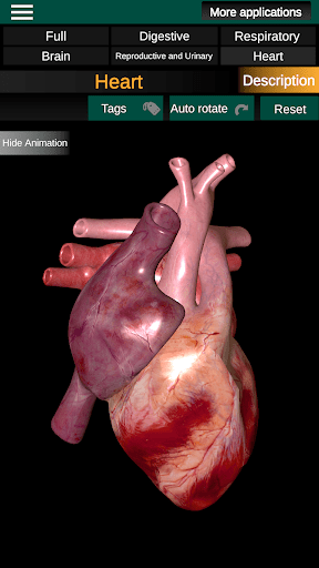 Internal Organs in 3D Anatomy screenshot #2