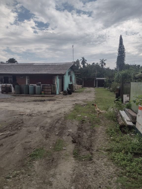 Casas para alugar Maitinga