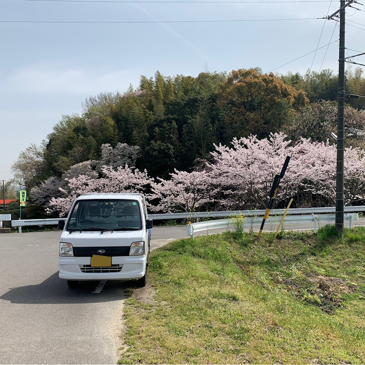 の投稿画像1枚目