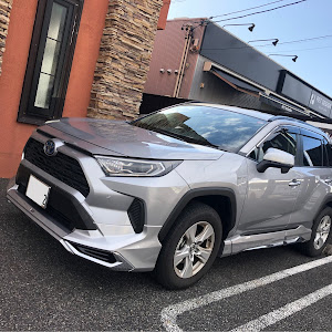 RAV4