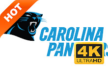 Carolina Panthers New Tabs HD Football Themes small promo image