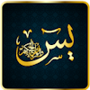 Surah YaSin Audio Urdu icon