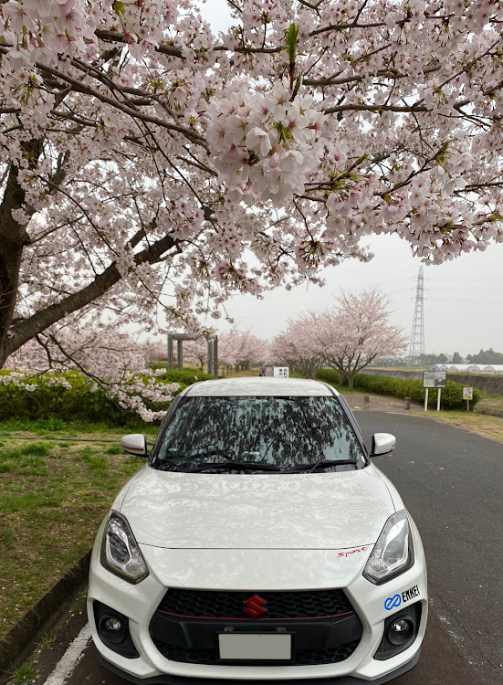 スイフトスポーツの瀬田の「コナズ珈琲」・桜🌸狩り・今日のラーメン🍜に関するカスタム事例の投稿画像9枚目