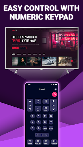 Screenshot TV Remote: Universal Remote