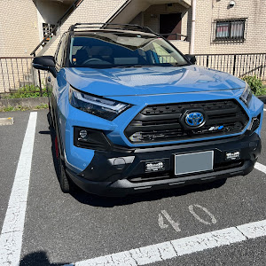 RAV4 AXAH54