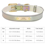 331K Gray