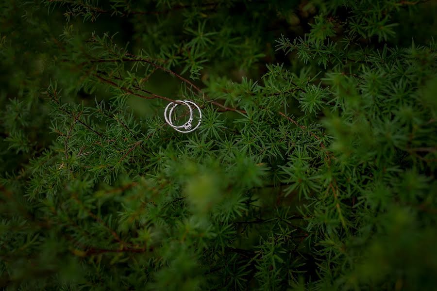 Photographe de mariage Kathy Elliston (kathyelliston). Photo du 16 mai 2019