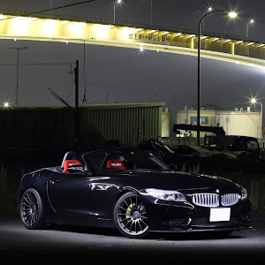 Z4 E89