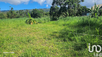 terrain à Sainte Clotilde (974)