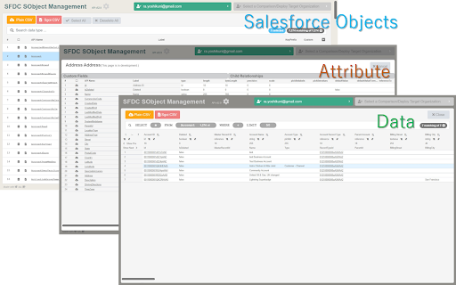 Salesforce DevsForce