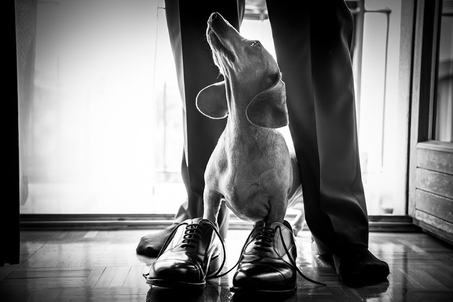 Fotografo di matrimoni Simone Lorenzi (simonelorenzi). Foto del 3 luglio 2015