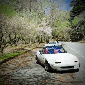 ロードスター NA8C