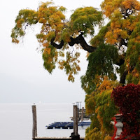 AUTUNNO SUL LAGO di 