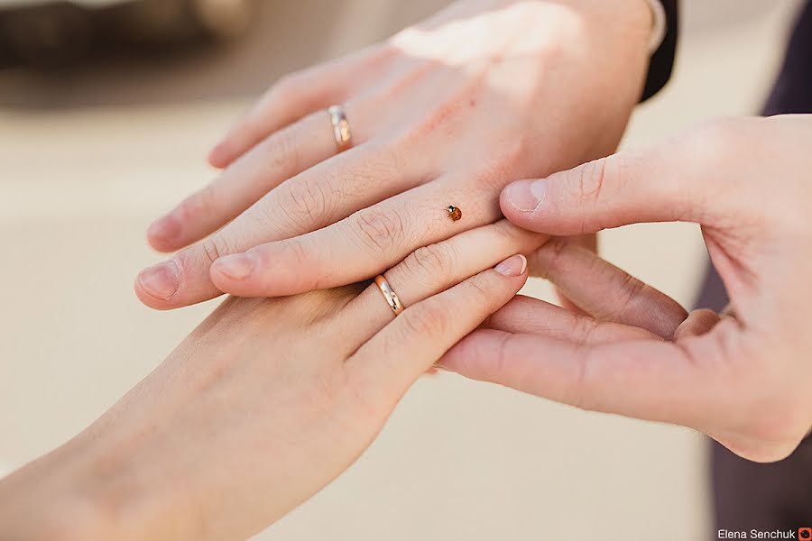 Wedding photographer Elena Senchuk (baroona). Photo of 21 September 2014