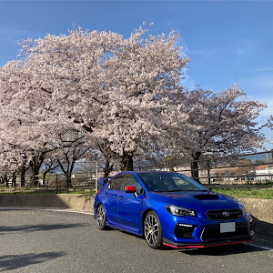 WRX STI VAB