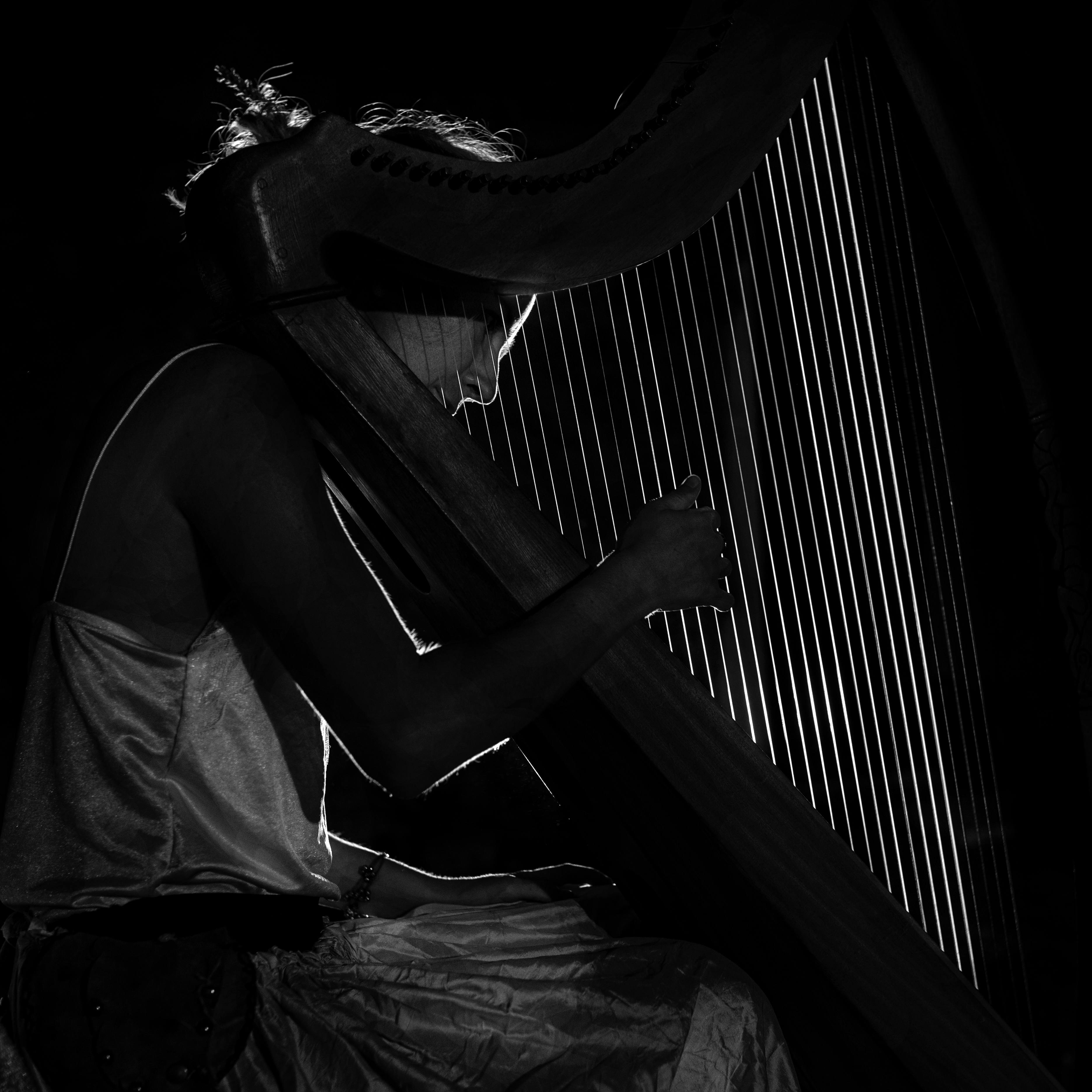 La musica diventa luce di Buttero59