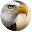 Eagle Wallpapers Download on Windows