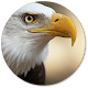 Eagle Wallpapers Download on Windows
