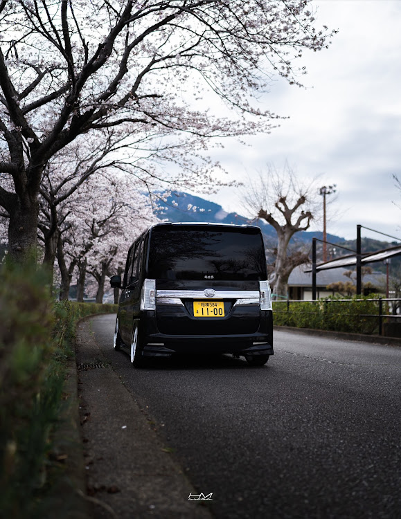 タントカスタムの桜とコラボ・4月もよろしくお願い致します🌸・タントカスタム・DIY・カメ活に関するカスタム事例の投稿画像2枚目
