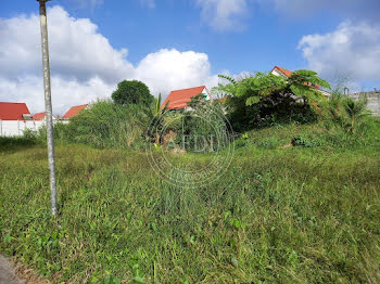 terrain à Le morne rouge (972)