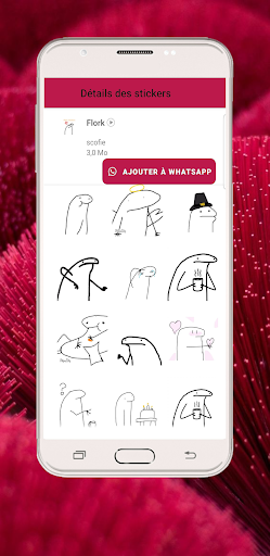 Flork Stickers For WhatsApp