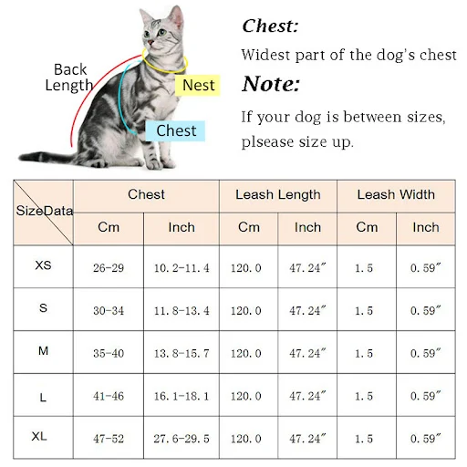 Fashion Plaid Cat Harnesses for Cats Summer Mesh Pet Harness and Leash Set Katten Kitty Mascotas Products for Gotas Acce