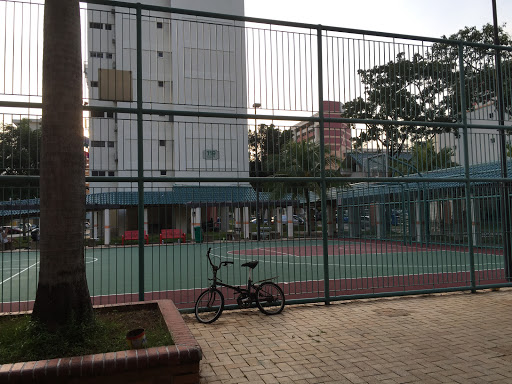 Caged Basketball Court 