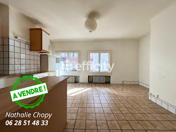 appartement à Saint-Etienne (42)