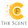 The Scent icon