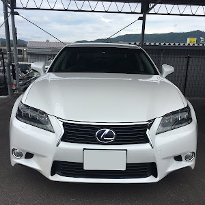 GS GWL10