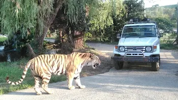 動物園自慢(友達なくし)1