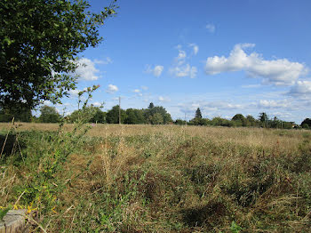 terrain à Saint-Laurent-des-Hommes (24)