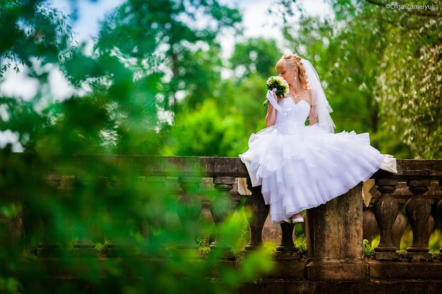 Fotógrafo de bodas Olga Zamelyuk (tigra). Foto del 25 de marzo 2014