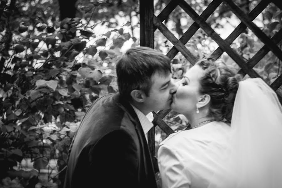 Fotógrafo de casamento Natalya Petrenko (npetrenko). Foto de 26 de fevereiro 2016