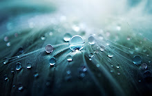 Water Drop Wallpapers HD Theme small promo image