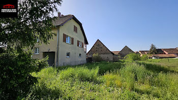 maison à Duttlenheim (67)